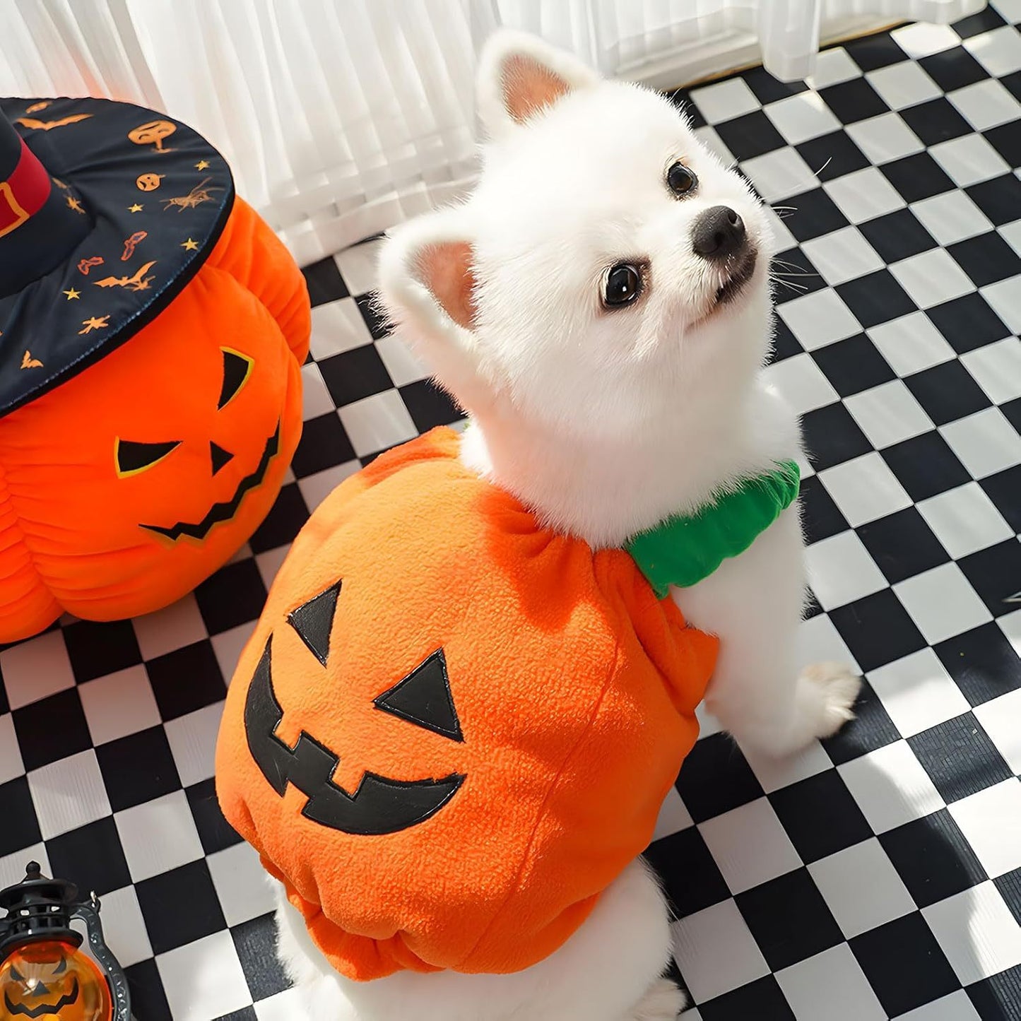 Funny Pumpkin Dog Halloween Costume Pet Dog Cat