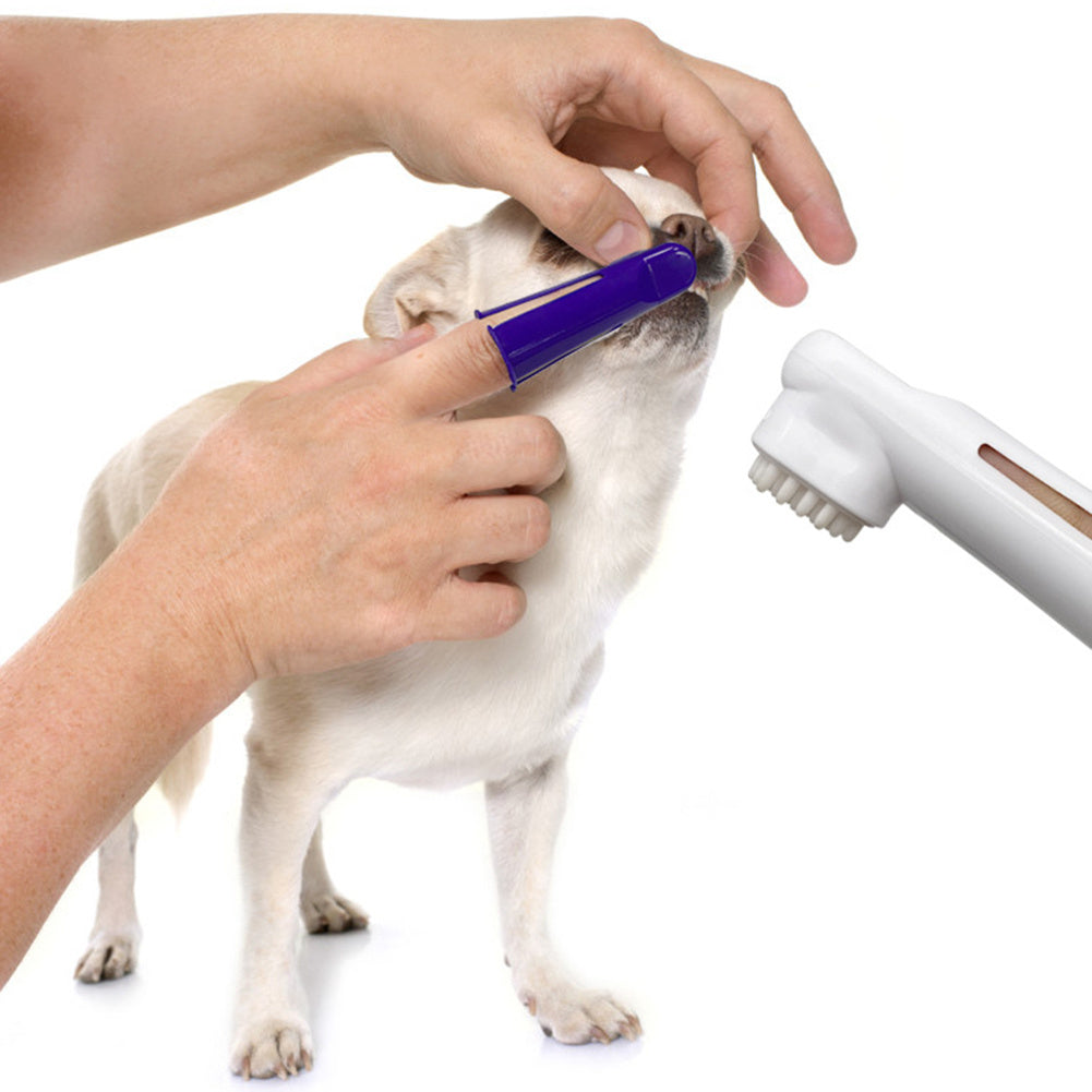 Pet Dog Beef Flavor Toothpaste Toothbrush Set Oral Cleaning