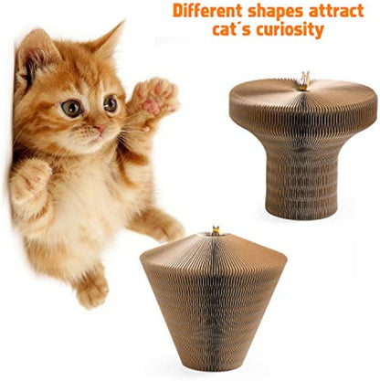 Collapsible Cat Scratcher Lounge Bed Cardboard Cat Bed