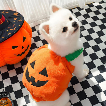 Funny Pumpkin Dog Halloween Costume Pet Dog Cat