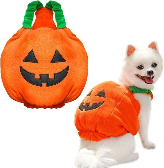 Funny Pumpkin Dog Halloween Costume Pet Dog Cat