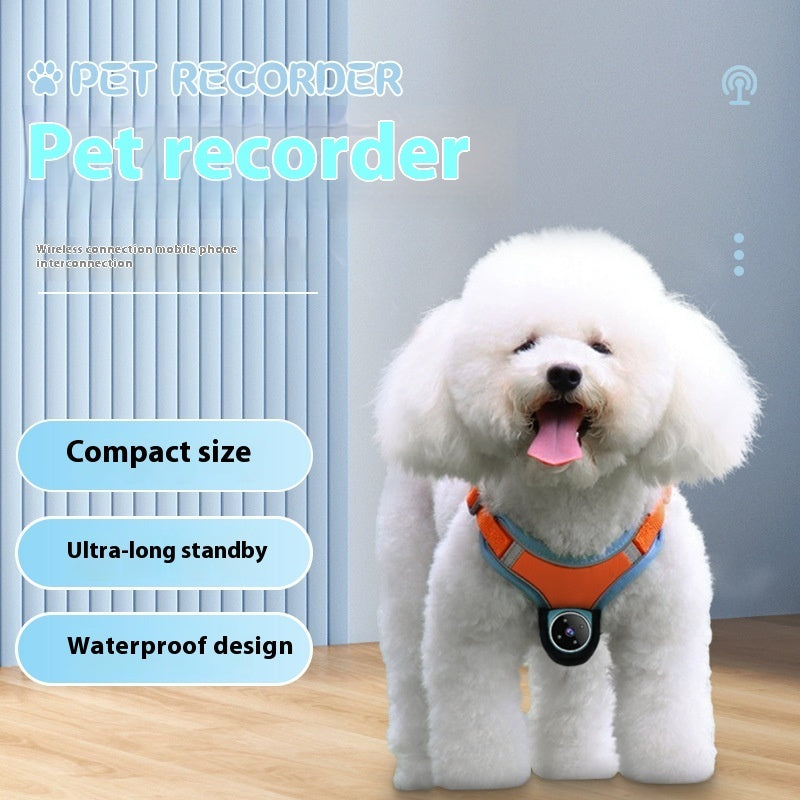 Pets Recorder Pet Tracker Collar Dogs And Cats Viewing