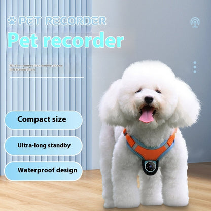 Pets Recorder Pet Tracker Collar Dogs And Cats Viewing
