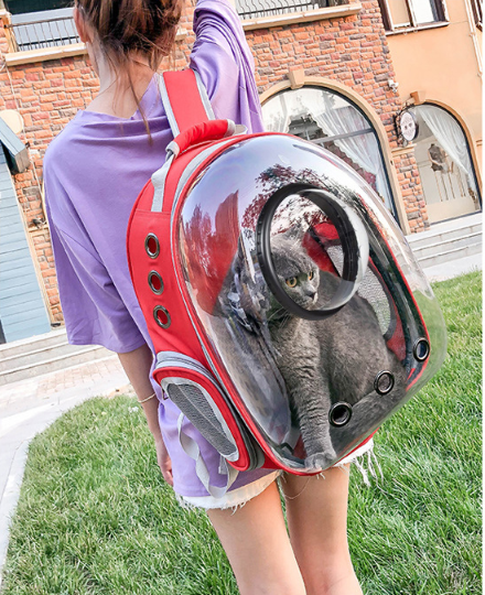 Pet Manufacturer Transparent Space Capsule Pet Backpack