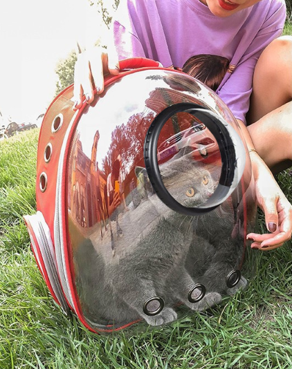 Pet Manufacturer Transparent Space Capsule Pet Backpack