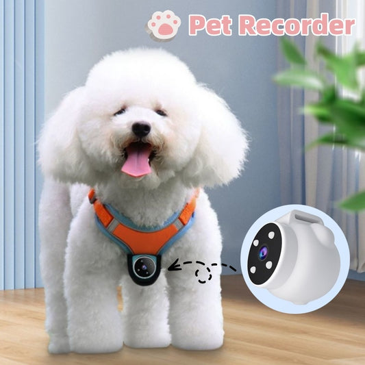 Pets Recorder Pet Tracker Collar Dogs And Cats Viewing