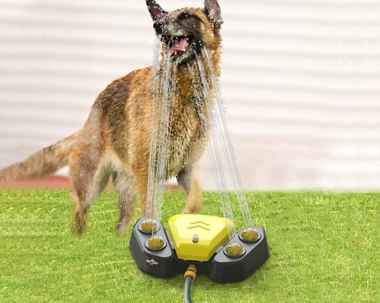 Smart Automatic Pet Water Fountain for Cats and Dogs